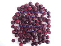 Freeze Dried Black Currant